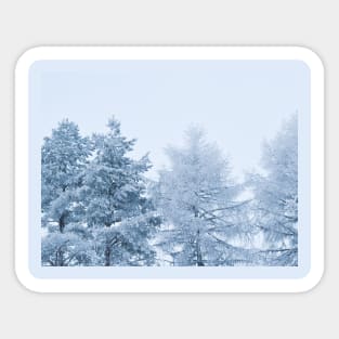 Winter wonderland Sticker